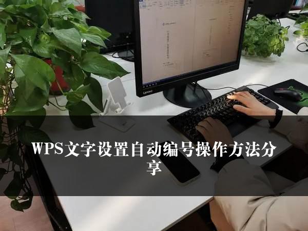 WPS文字设置自动编号操作方法分享