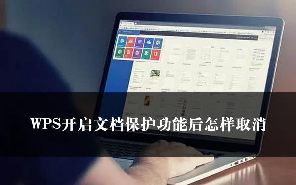 WPS开启文档保护功能后怎样取消