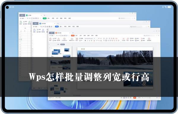 Wps怎样批量调整列宽或行高
