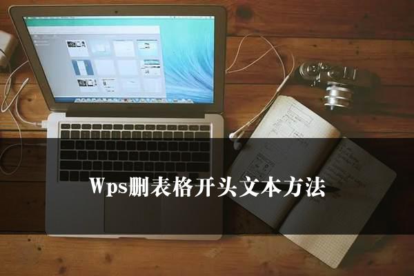 Wps删表格开头文本方法