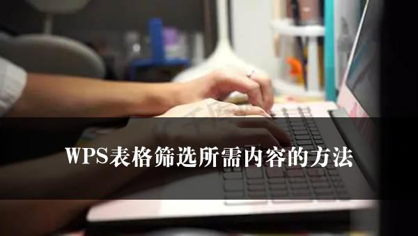 WPS表格筛选所需内容的方法