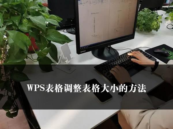 WPS表格调整表格大小的方法