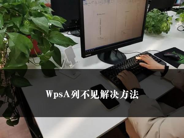 WpsA列不见解决方法