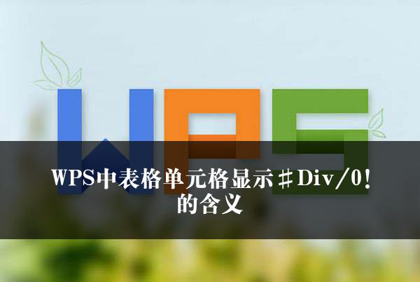 WPS中表格单元格显示#Div/0!的含义