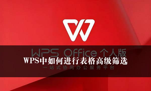 WPS中如何进行表格高级筛选