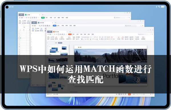 WPS中如何运用MATCH函数进行查找匹配