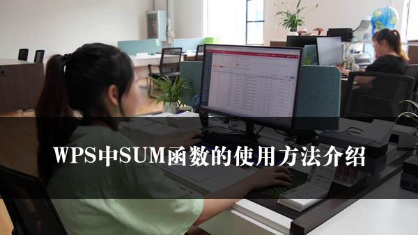 WPS中SUM函数的使用方法介绍