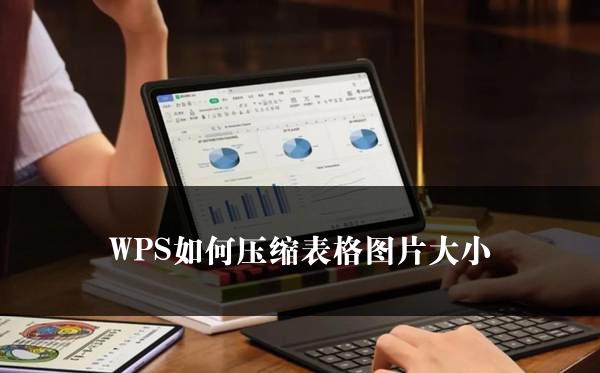 WPS如何压缩表格图片大小