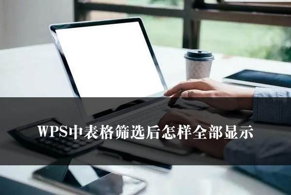 WPS中表格筛选后怎样全部显示