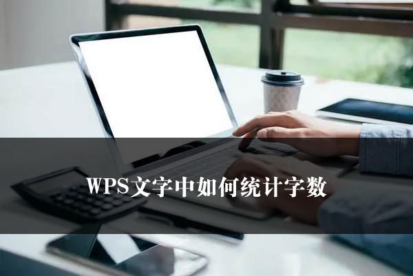 WPS文字中如何统计字数