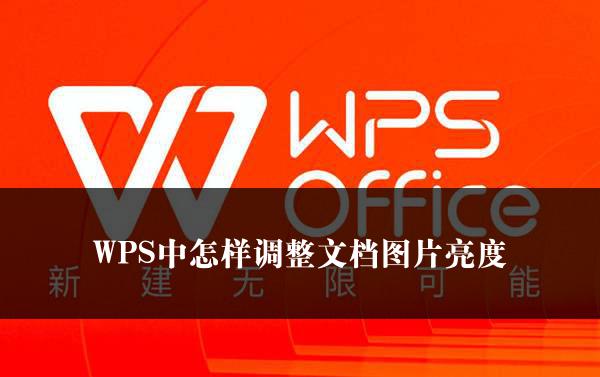 WPS中怎样调整文档图片亮度