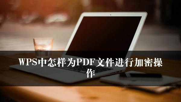 WPS中怎样为PDF文件进行加密操作