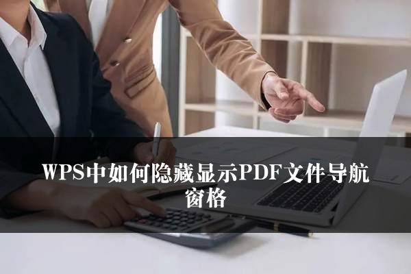 WPS中如何隐藏显示PDF文件导航窗格