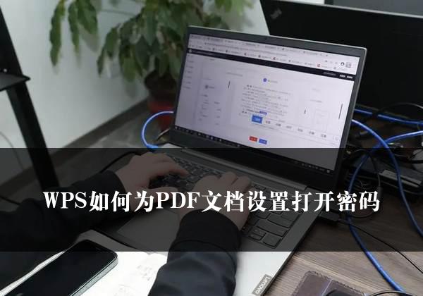 WPS如何为PDF文档设置打开密码