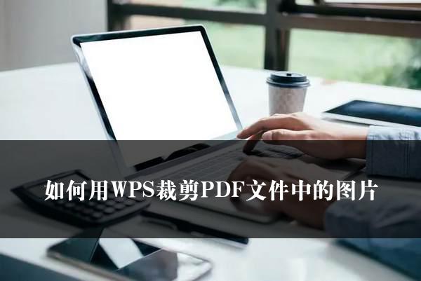 如何用WPS裁剪PDF文件中的图片