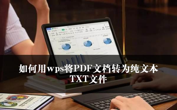 如何用wps将PDF文档转为纯文本TXT文件