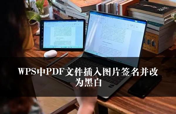 WPS中PDF文件插入图片签名并改为黑白