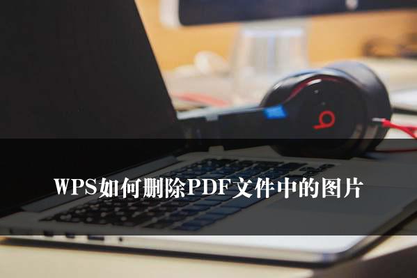 WPS如何删除PDF文件中的图片