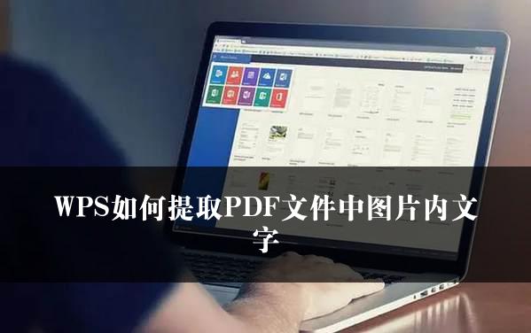 WPS如何提取PDF文件中图片内文字