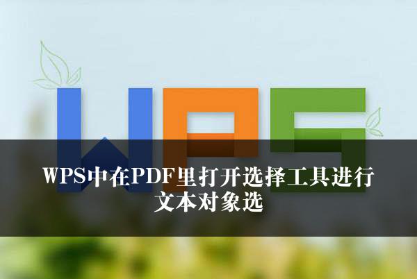 WPS中在PDF里打开选择工具进行文本对象选