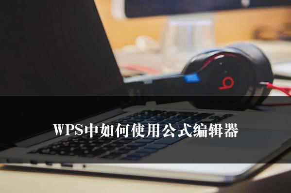 WPS中如何使用公式编辑器