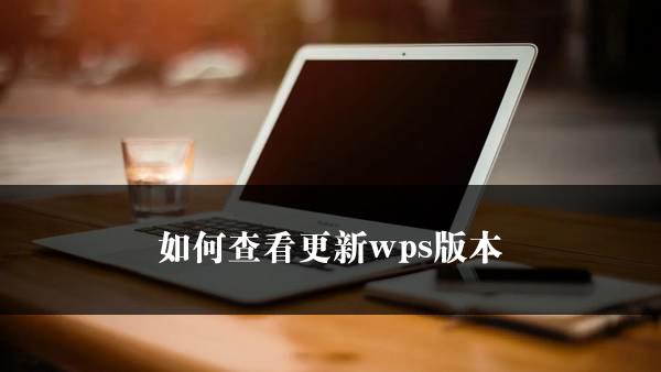 如何查看更新wps版本