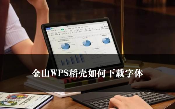 金山WPS稻壳如何下载字体