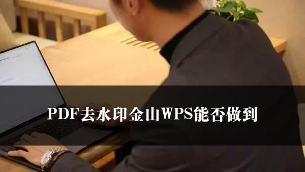 PDF去水印金山WPS能否做到