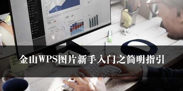 金山WPS图片新手入门之简明指引