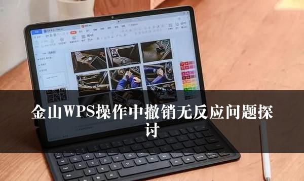 金山WPS操作中撤销无反应问题探讨