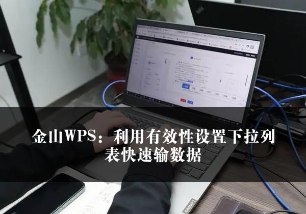 金山WPS：利用有效性设置下拉列表快速输数据