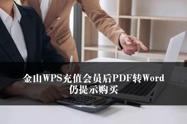 金山WPS充值会员后PDF转Word仍提示购买