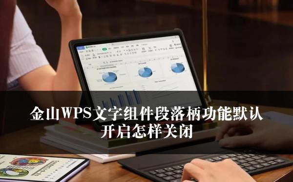 金山WPS文字组件段落柄功能默认开启怎样关闭