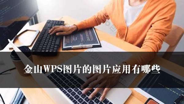 金山WPS图片的图片应用有哪些