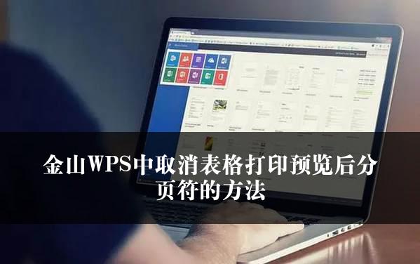 金山WPS中取消表格打印预览后分页符的方法