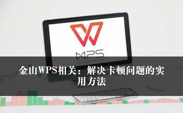 金山WPS相关：解决卡顿问题的实用方法