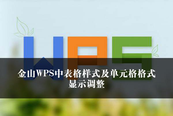 金山WPS中表格样式及单元格格式显示调整