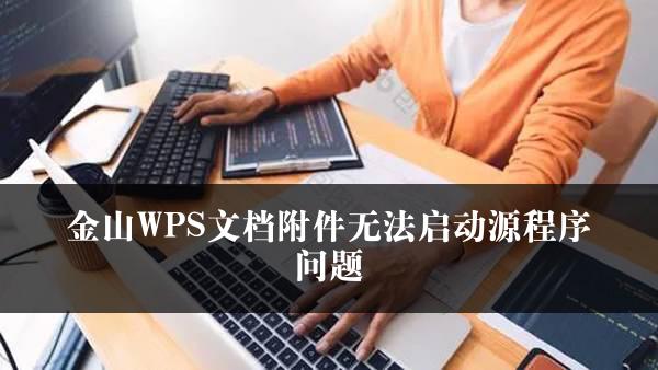 金山WPS文档附件无法启动源程序问题