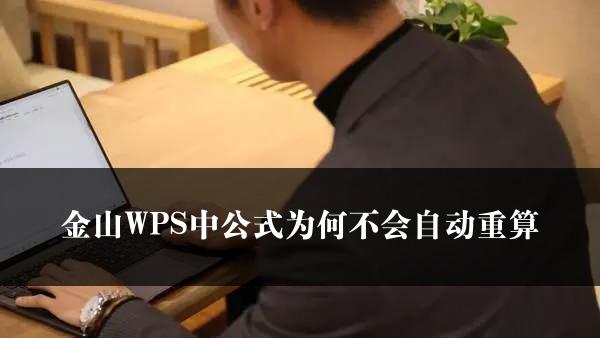 金山WPS中公式为何不会自动重算