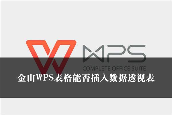 金山WPS表格能否插入数据透视表