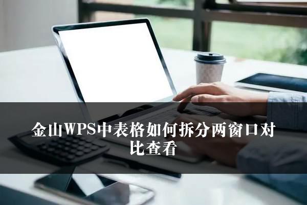 金山WPS中表格如何拆分两窗口对比查看