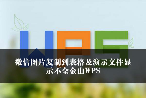 微信图片复制到表格及演示文件显示不全金山WPS