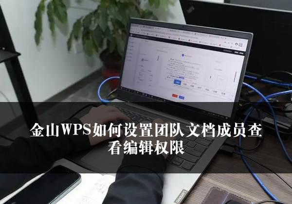 金山WPS如何设置团队文档成员查看编辑权限