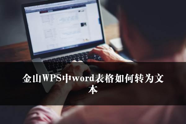 金山WPS中word表格如何转为文本