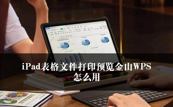 iPad表格文件打印预览金山WPS怎么用