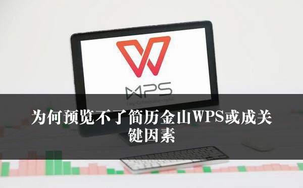 为何预览不了简历金山WPS或成关键因素