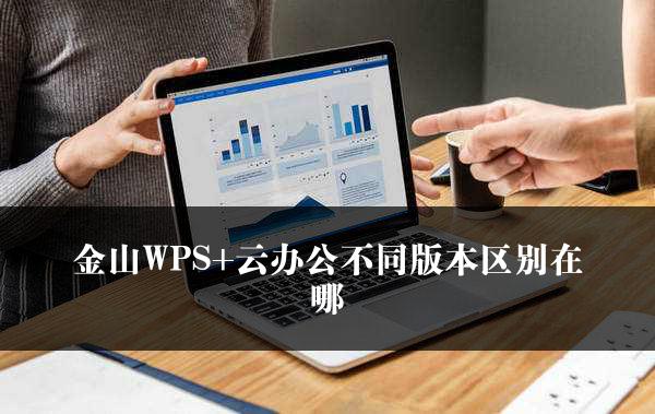 金山WPS+云办公不同版本区别在哪