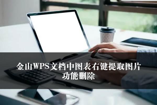 金山WPS文档中图表右键提取图片功能删除