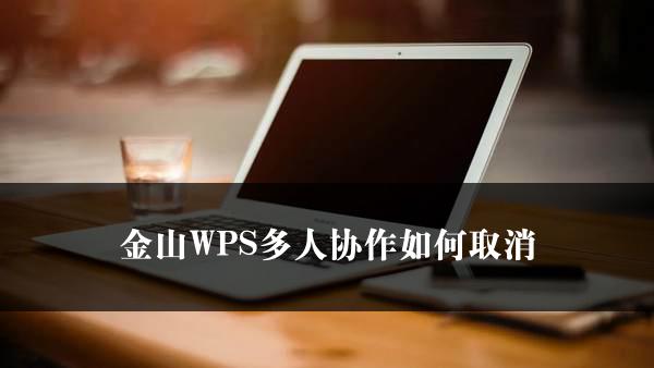 金山WPS多人协作如何取消