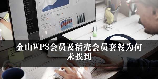 金山WPS会员及稻壳会员套餐为何未找到